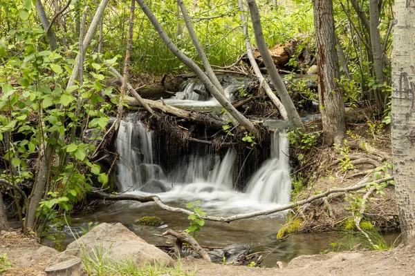 Waterfall Famous Thomas Creek Trail — Stock Photo, Image