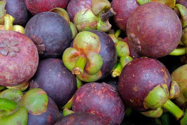 Mangosteen Garcinia Mangostana Güneydoğu Asya Yetişen Yenilebilir Tatlı Sulu Meyveli — Stok fotoğraf