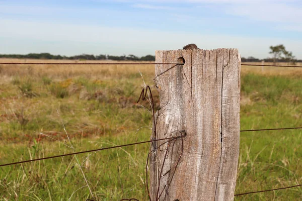 Old Wooden Fence Post Rural Pasture — Stock Photo, Image
