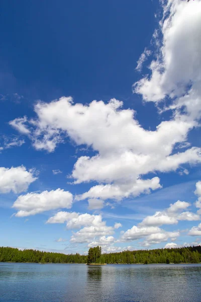 青い空に対して緑豊かな森によって湖の美しい風景 — ストック写真