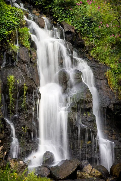 Ein Vertikaler Schuss Des Fließenden Geelong Wasserfalls Von Blühenden Büschen — Stockfoto