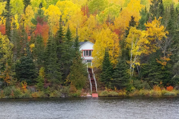 Ház Rejtett Erdőben Kanadában Ősszel Gyönyörű Színek Fák Tükröződés Vízen — Stock Fotó
