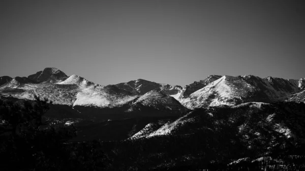 Cliché Niveaux Gris Des Montagnes Enneigées — Photo