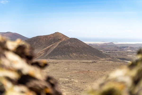 富尔特文图拉火山景观的选择性焦点拍摄 — 图库照片