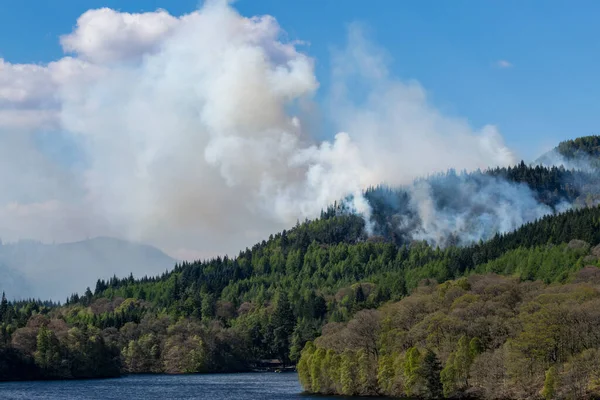 煙が立ち上がり 燃える森から空気を満たす — ストック写真