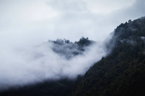 Vysoký Úhel Záběru Kopce Temného Lesa Pokrytého Hustou Mlhou — Stock fotografie