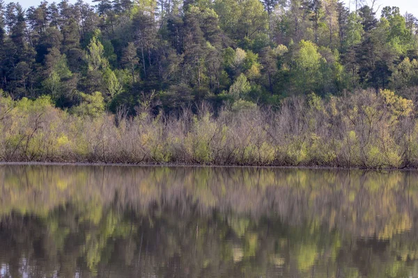 Una Hermosa Vista Una Orilla Reflectante Del Lago Bosque Con — Foto de Stock