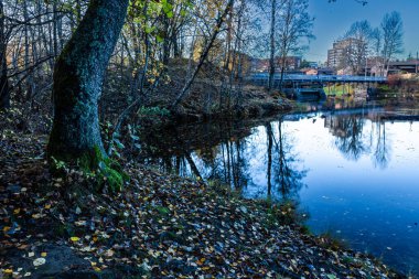 Göl kıyısında ağaçların ve yaprakların güzel manzarası ve arka planda kentsel binalar.
