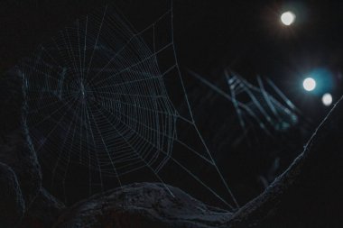 Karanlık bir örümceğin tüyler ürpertici bir görüntüsü.