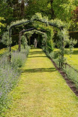 Lilburn Kulesi 'nin yanındaki pergola. Wooler, Northumberland, İngiltere, Ulusal Bahçeler Projesi 'nde bir malikane bahçesi açıldı..