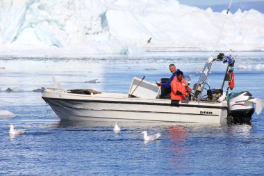 22 Temmuz 2011, Ilulissat, Grönland, iki Eskimo balıkçı teknesiyle buzdağları ve martılar (Laridae) arasında (yatay))