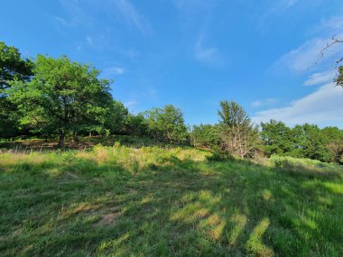 İtalya 'daki Ligurian sahillerinin tipik akdeniz temizliği. Mimari görüntüleme için kullanışlı