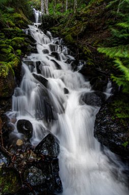Ormandaki kayalık yeşil bir uçuruma düşen güzel bir şelalenin alçak açılı görüntüsü.