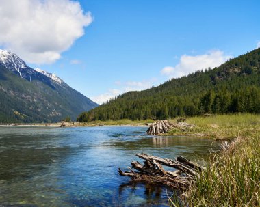 Berrak bir gölün çimenli plajından bilimsel bir manzara yansımaları ve uzak karlı dağlarla kaplı.