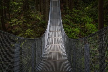 Yoğun yeşil ağaçlarla çevrili bir asma köprü.