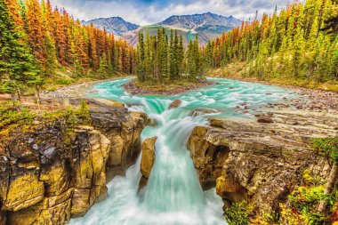 A breathtaking view of amazing Sunwapta Falls Waterfall in Canada with silk effect water and colorful trees clipart