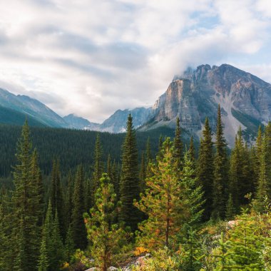 Batı Kanada Alberta 'da bulutlu bir gökyüzünün altında yoğun yeşil ağaçların ve dağların güzel manzarası.