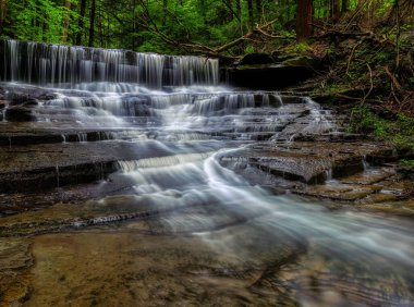 New York 'taki Emery Park' ta köpüklü suyla çağlayan ve yeşil ağaçlarla dolu güzel bir şelale manzarası.
