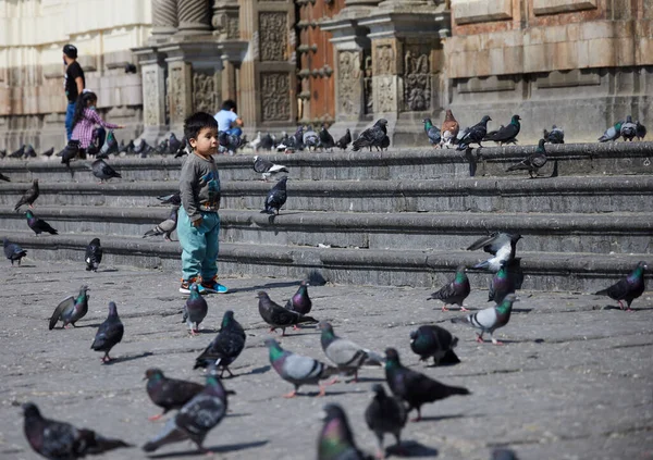 Detailní Záběr Chlapce Stojícího Kostela Ptáky Limě Peru — Stock fotografie