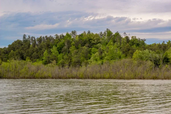 Una Bella Foto Lago Con Alberi Erbe Campo Verde Sotto — Foto Stock