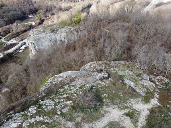 Une Vue Sur Forêt Avec Des Arbres Secs Sur Colline — Photo