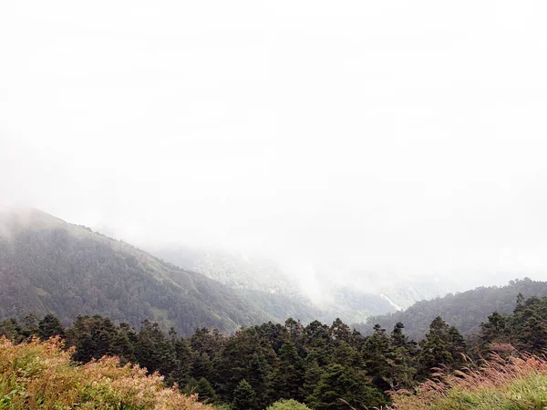 Hermoso Plano Colinas Cubiertas Por Nubes Niebla —  Fotos de Stock