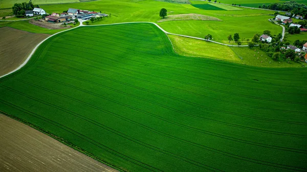 Eine Luftaufnahme Von Ländlichen Häusern Die Von Landwirtschaftlichen Feldern Umgeben — Stockfoto