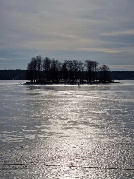 Beau Plan Vertical Une Petite Île Avec Des Arbres Sur — Photo