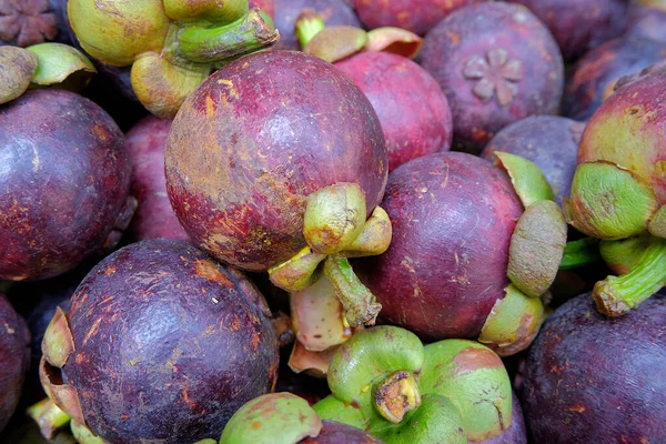 Мангостин Garcinia Mangostana Вечно Зеленое Дерево Съедобными Сладкими Сочными Фруктами — стоковое фото