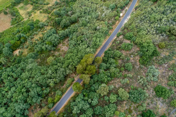 Drone Vue Aérienne Une Route Montagne Parmi Les Chênes — Photo
