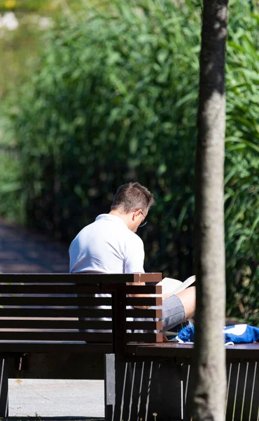 緑の芝生と木の公園のベンチで本を読んでいる男 — ストック写真