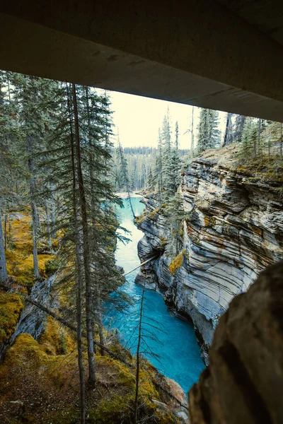 Kanada Jasper Ulusal Parkı 'ndaki Athabasca Şelalesi Kanyonu' nun dikey görüntüsü.