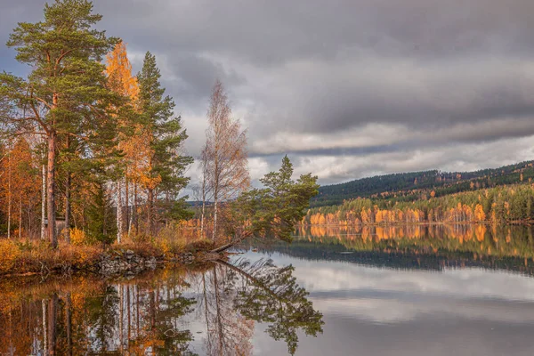 Una Hermosa Vista Del Reflejo Bosque Lago Suecia — Foto de Stock