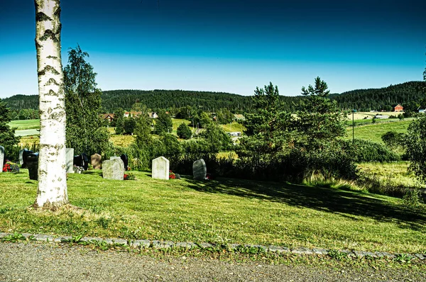 Gravstenarna Kyrkogården Omgivna Grön Vegetation — Stockfoto