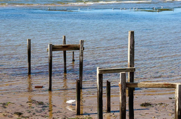 Oude Houten Palen Van Pier Strand — Stockfoto