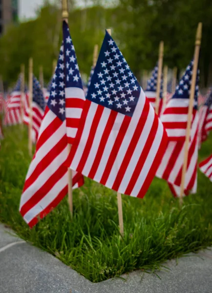 Disparo Vertical Banderas Estados Unidos Día Ceremonia Conmemoración Everett Washington — Foto de Stock