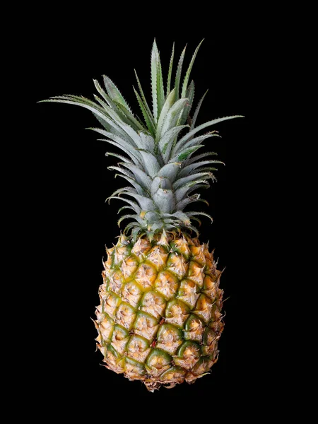 Closeup Shot Pineapple Ananas Comosus Isolated Black Background — Stock Photo, Image
