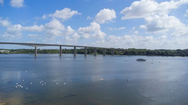 Natural View Orwell Bridge Calm River Flock Swans — Stock Photo, Image