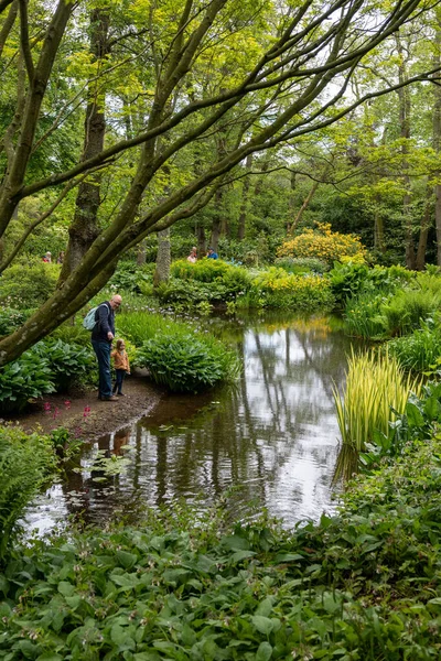 英国ノーサンバーランド州ウーラー近郊のリルバーンタワーの池庭園を鑑賞する人々 国立庭園スキームを通してオープンする邸宅庭園 — ストック写真