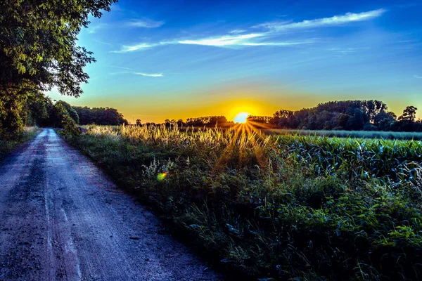 夕暮れ時の緑の畑の横の小さな道の美しい景色 — ストック写真