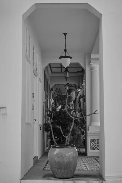 Eine Vertikale Aufnahme Einer Vase Mit Dekorativen Pflanzen Einem Korridor — Stockfoto