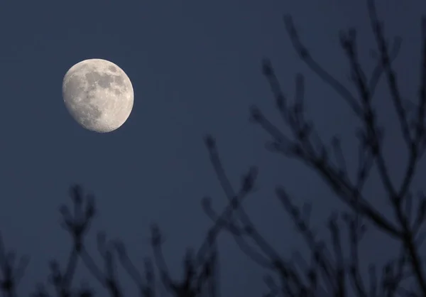 Una Luna Bianca Quasi Piena Buio Cielo Notturno Sopra Una — Foto Stock