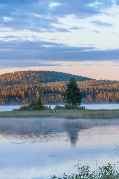 Vue Verticale Lac Une Forêt Suède Lever Soleil — Photo