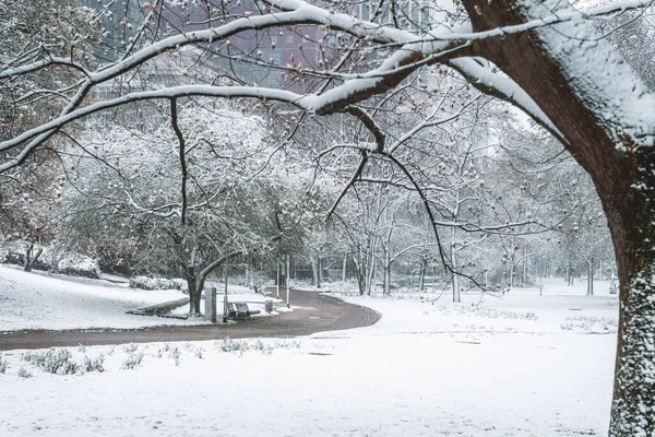 Krásná Zimní Krajina Stezky Parku Pokrytém Sněhem — Stock fotografie