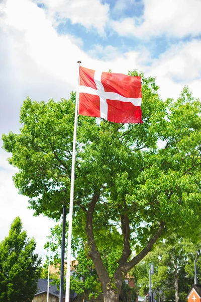 Vertical Shot Flag Denmark Hanging Pole Placed Outdoors Tree — Stock Photo, Image