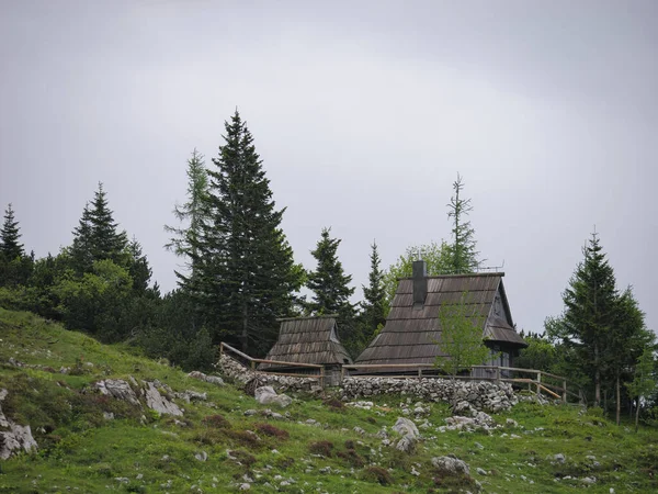 Beautiful View Old Houses Conifers Big Pasture Plateau Kamnik Savinja — Stock Photo, Image