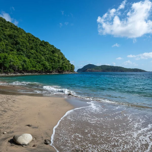 Sandy Beach Green Cliffs Morning — Stock Photo, Image