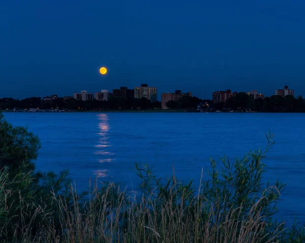 夜の街を背景にした湖 — ストック写真