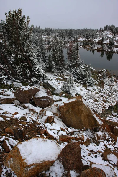 Schnee Bedeckte Bäume Und Felsen Auf Einem Hügel Der Nähe — Stockfoto
