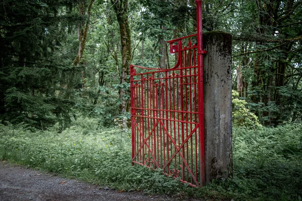 Los Densos Árboles Verdes Con Una Puerta Roja Primer Plano — Foto de Stock